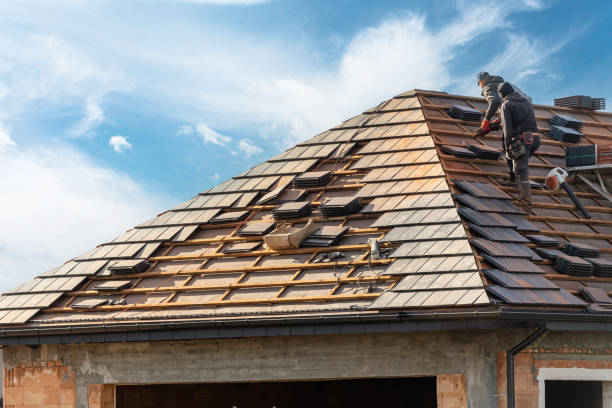Best Roof Repair  in Alma, GA