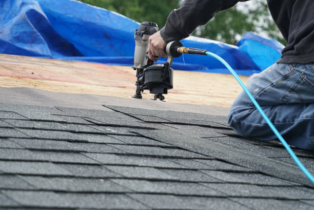 Best Chimney Flashing Repair  in Alma, GA