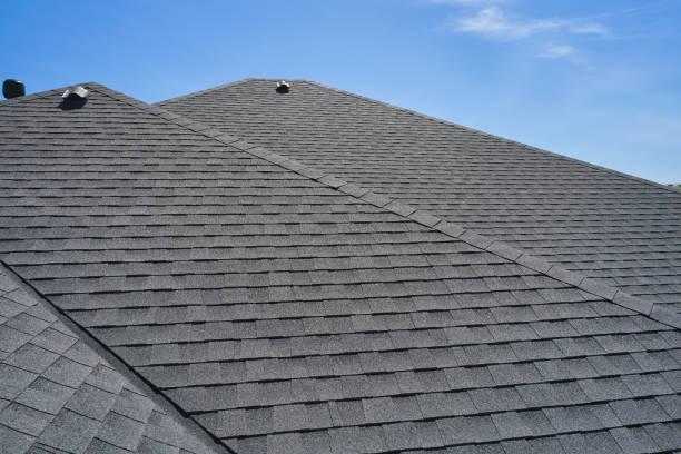 Best Roof Leak Repair  in Alma, GA